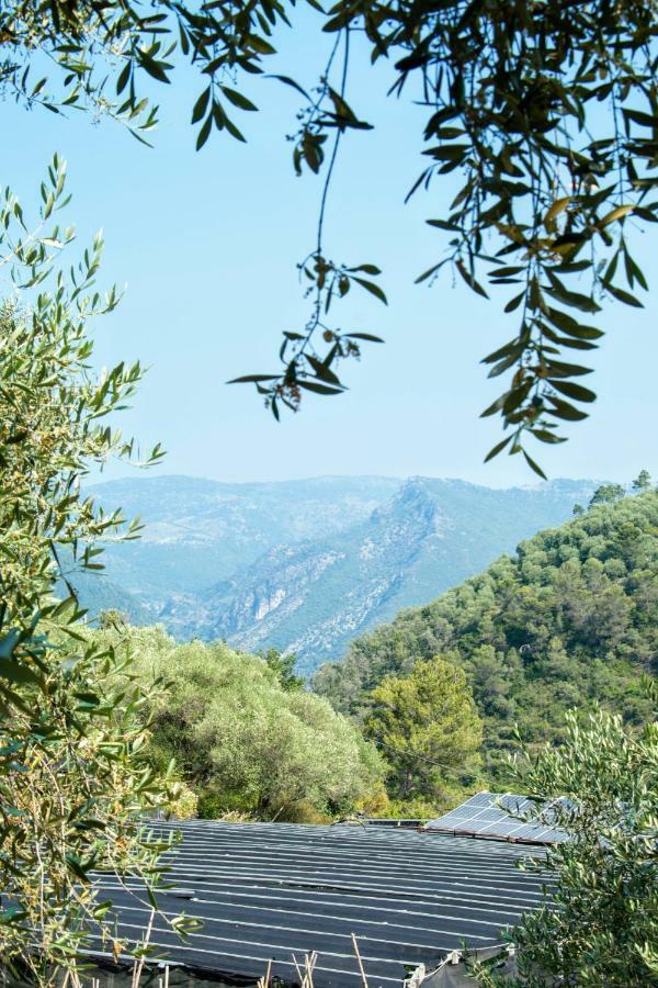 Le Ortensie Дольчеаккуа Экстерьер фото
